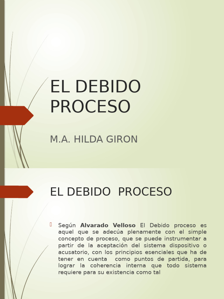 Conceptos Clave del Debido Proceso | PDF | Debido al proceso | Ley procesal