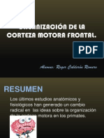ORGANIZACIÓN DE LA CORTEZA FRONTAL MOTORA - Roger Calderon
