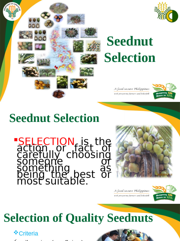 Quality Criteria for Seednut Selection | PDF