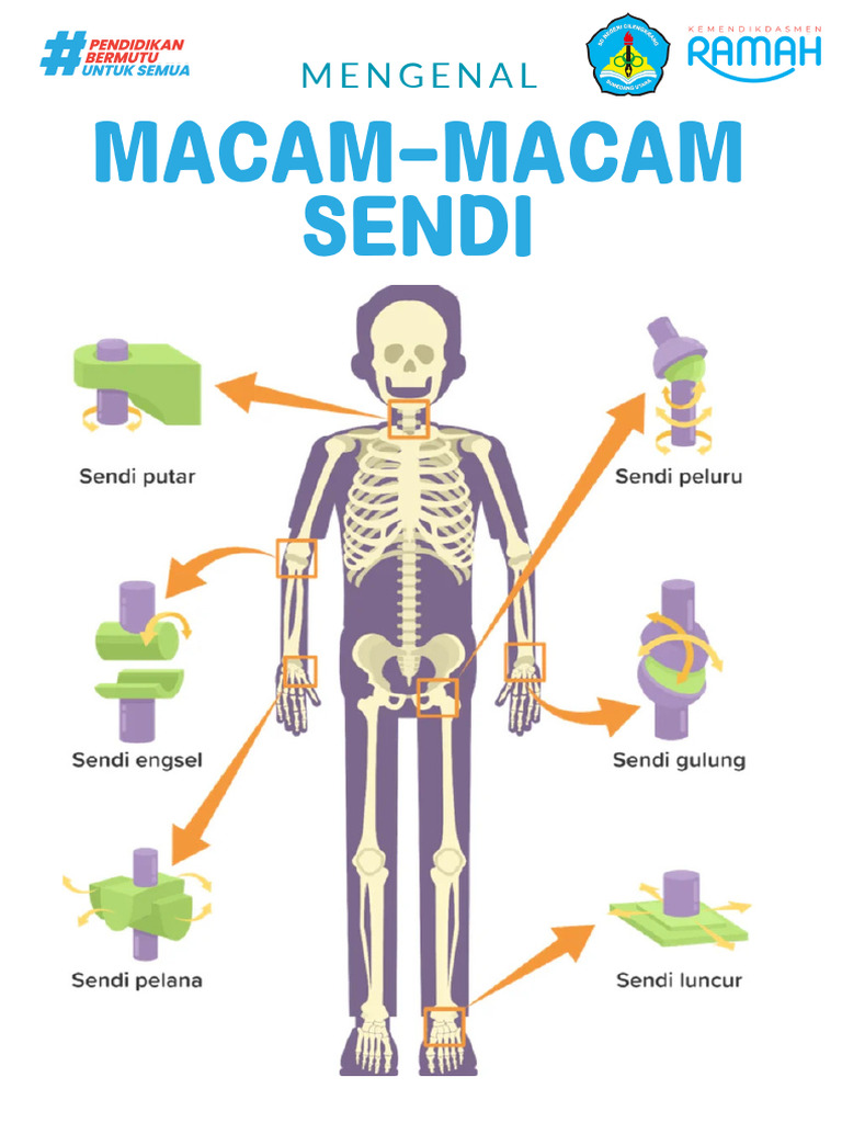 Macam-macam sendi | PDF