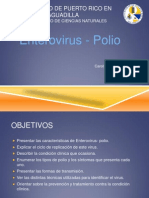 Microbiologia Clinica- Presentacion Power Point Enterovirus Polio