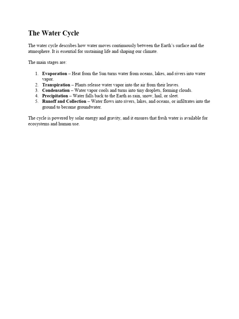 Understanding the Water Cycle | PDF