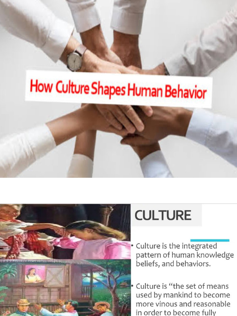 How Culture Shaped Human Behavior | PDF