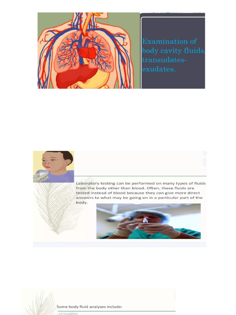 Body Fluid | PDF