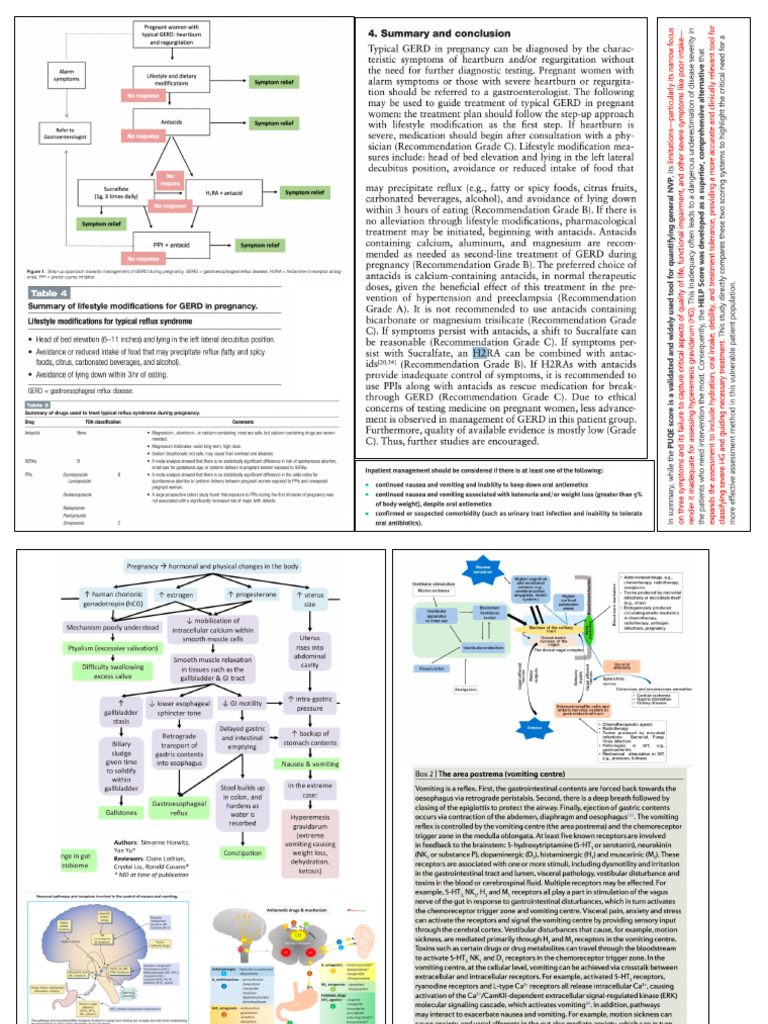 Heg New | PDF