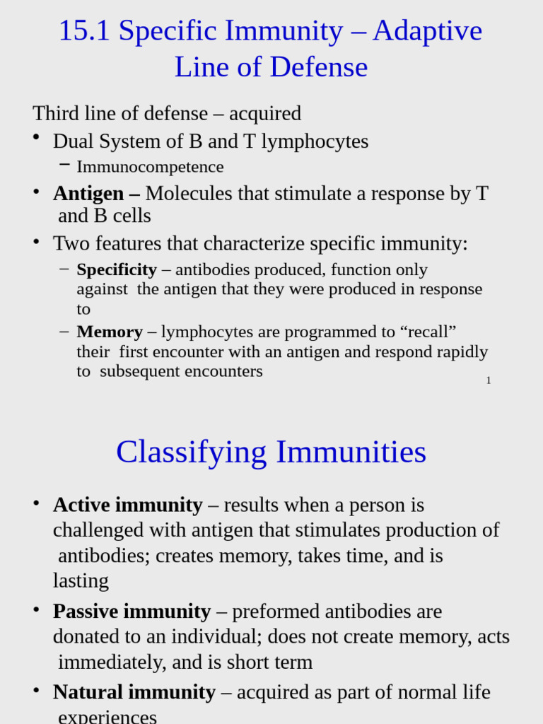 Adaptive Immunity and Antibodies | PDF | Antibody | Adaptive Immune System