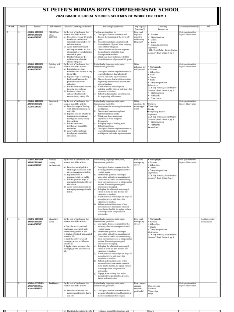 Grade 8 Social Studies Term 1 Plan | PDF | Self Esteem | Psychometrics
