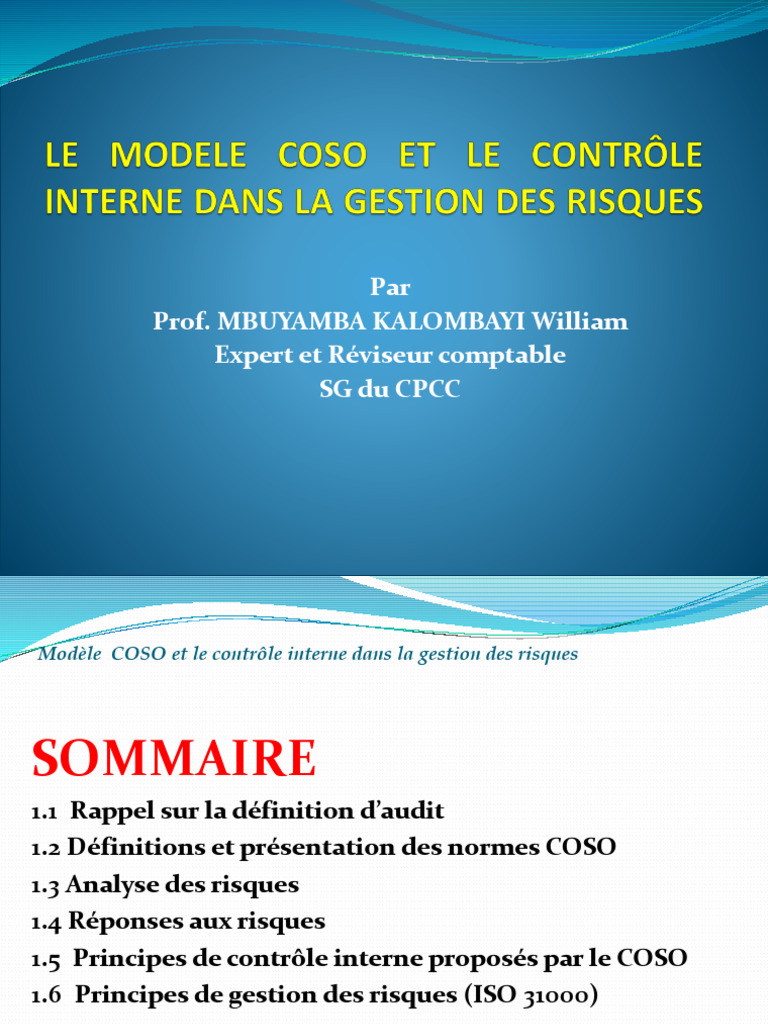 COSO et contrôle interne en gestion des risques | PDF | Audit | Gestion ...