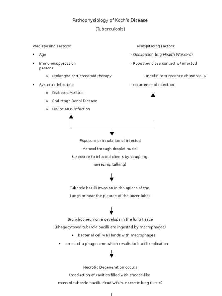 Pathophysiology of Tuberculosis Explained | PDF | Tuberculosis | Infection