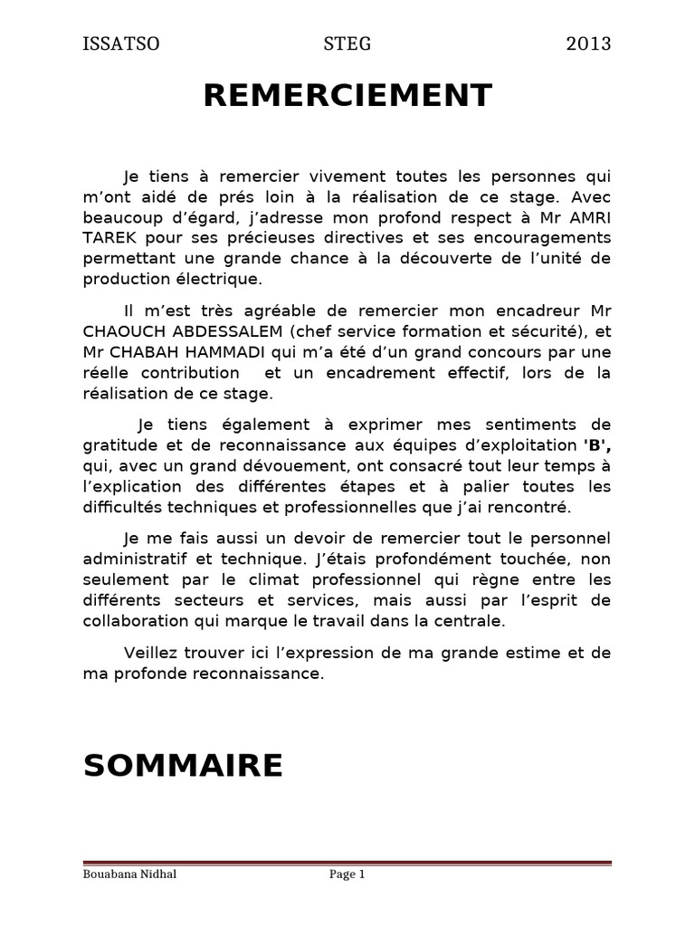 Remerciements et présentation de la STEG | PDF | Chaudière | Turbine