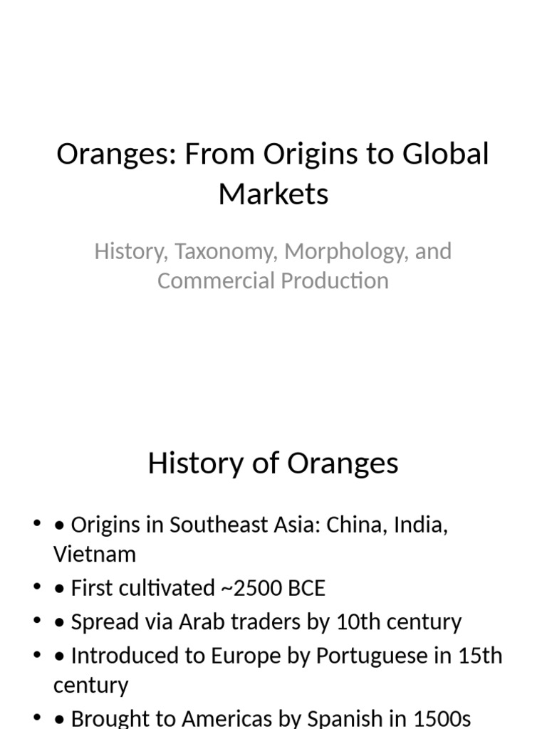 Global Orange Production & History | PDF