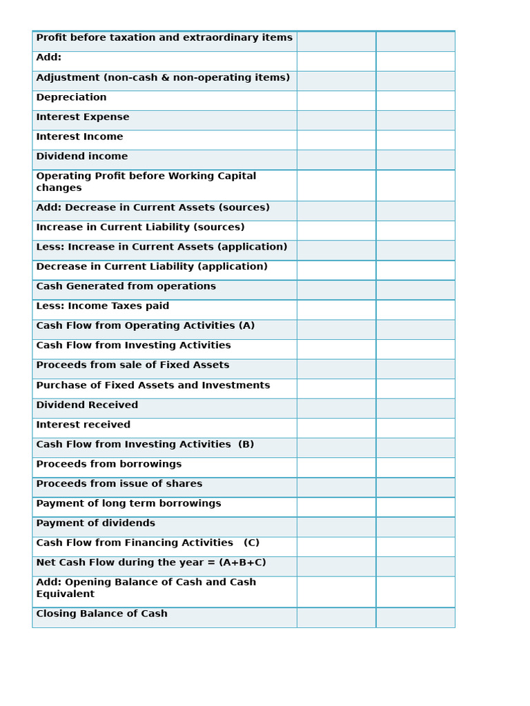 CFS Format: Cash Flow Breakdown | PDF