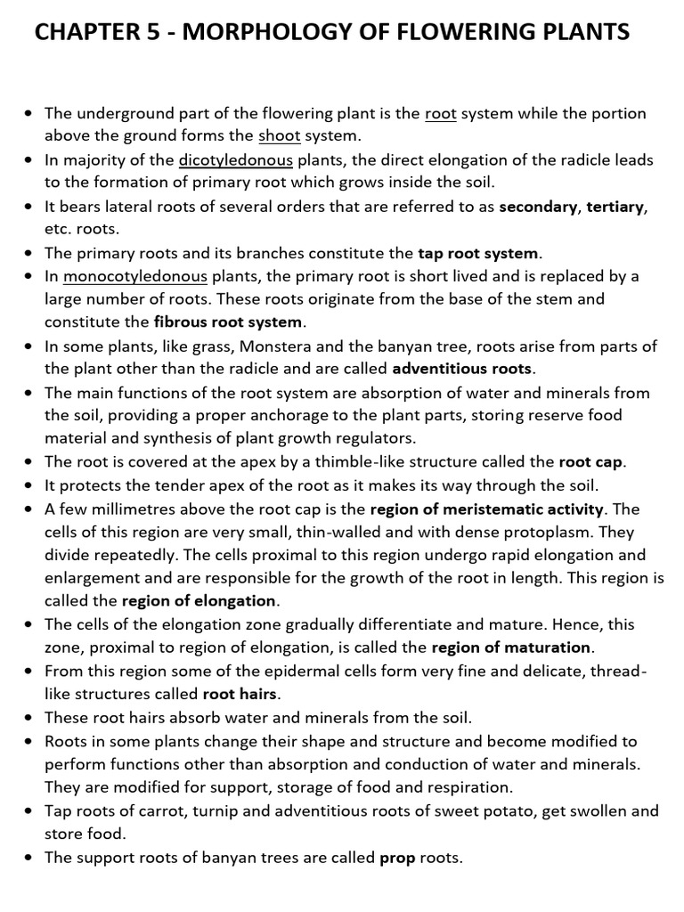Morphology of Flowering Plants Notes | PDF | Leaf | Flowers