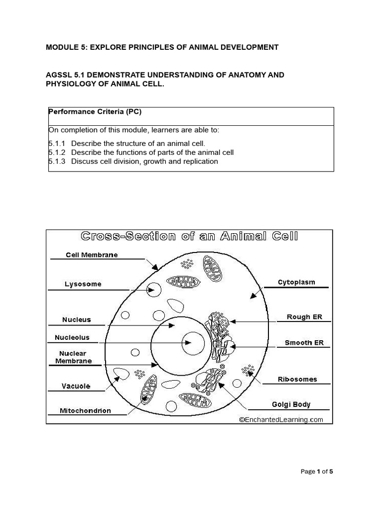 Learning Outcome 5.1 Anatomy and Physiology of The Animal Cell 2 | PDF ...