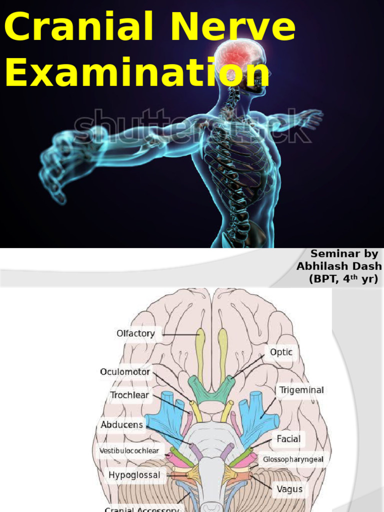 Cranial Nerve Examination Guide | PDF | Nervous System | Human Anatomy