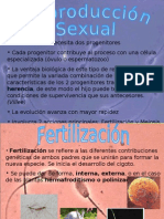 Reproducción Sexual y Asexual