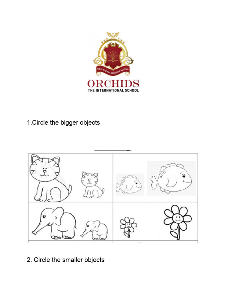 Object Size and Shape Activities | PDF
