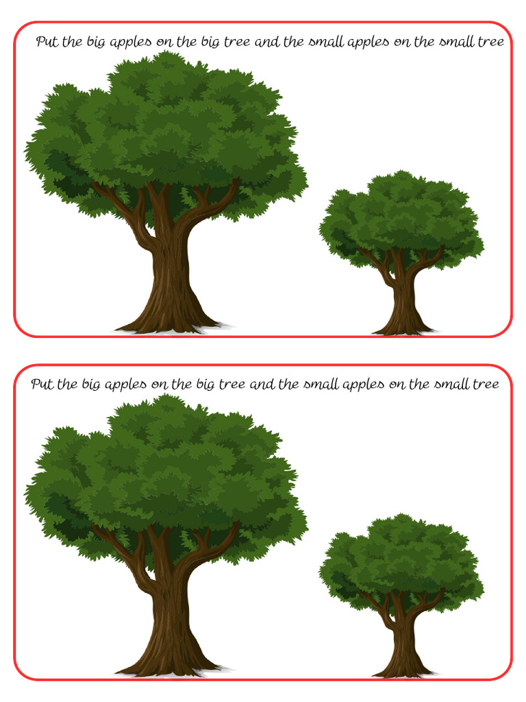 BIGSMALL Apple Sorting Activity | PDF
