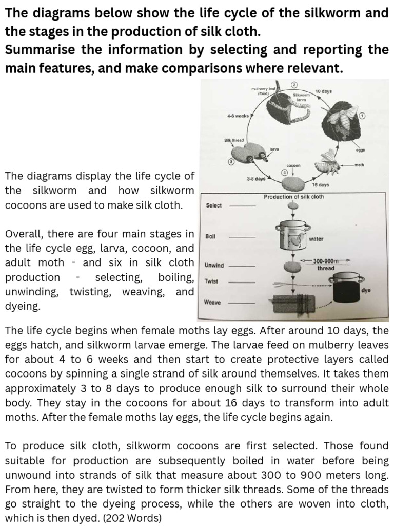 Silkworm Life Cycle and Silk Production | PDF