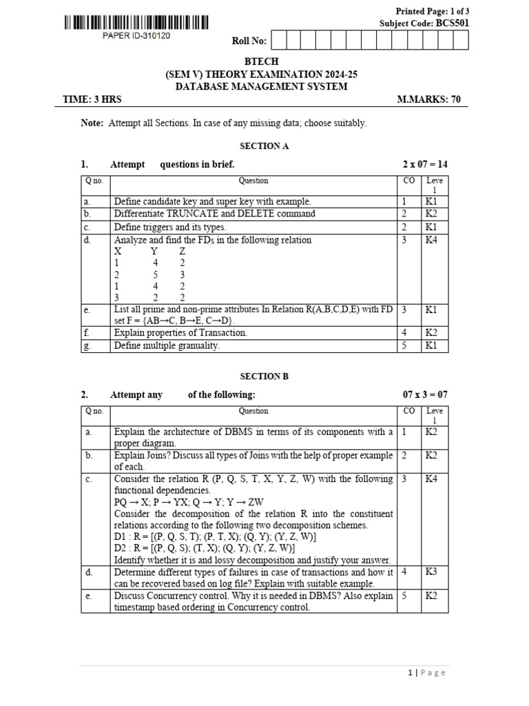 BCS501 Database Management Exam 2024-25 | PDF | Computer Data | Data ...