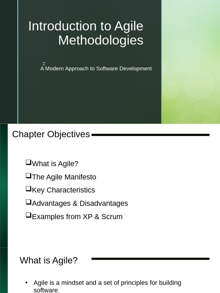 Agile Methodology Overview and Principles | PDF | Agile Software ...