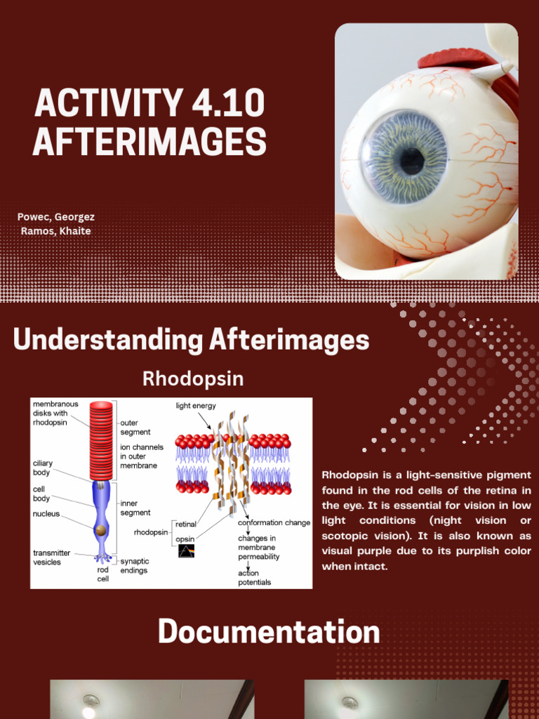 Afterimages | PDF