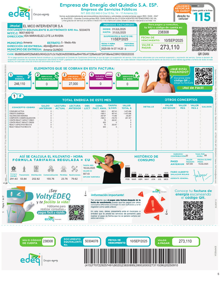 El Mico Interventor S.A | PDF