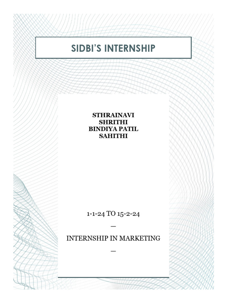 SIDBI Internship Marketing Experience | PDF | Entrepreneurship | Data