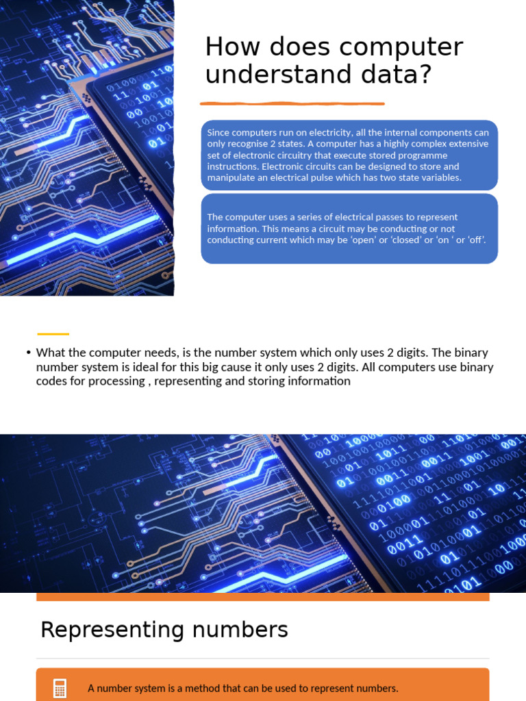 How Does Computer Understand Data | PDF