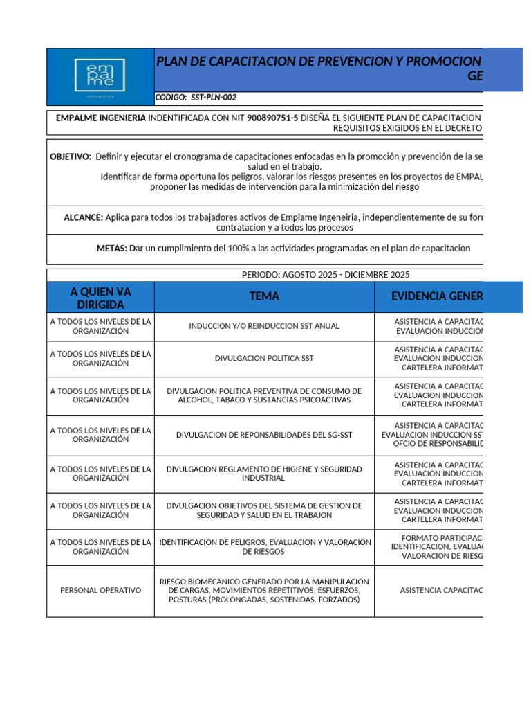 Plan de Capacitación en SST 2025 | PDF | Creación de capacidad | Auditoría