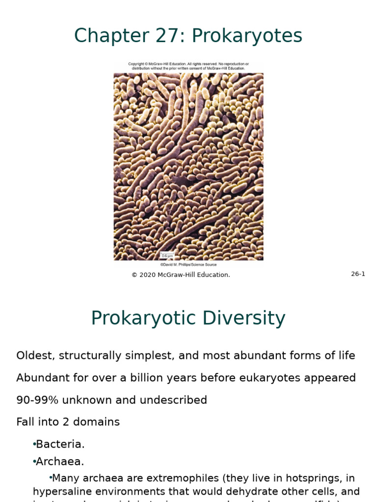 Raven Ch27 Prokaryotes (Reduced) | PDF | Bacteria | Prokaryote