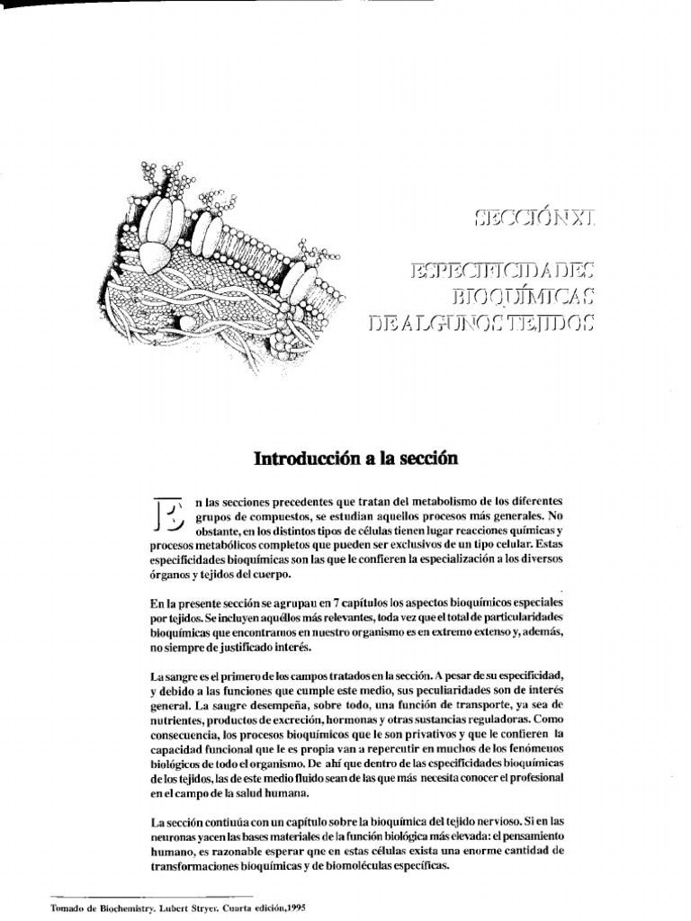 Cap 63 | PDF
