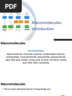 Macromolecule Summary Chart | PDF | Macromolecules | Cell (Biology)