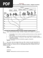 1_etapa_2003_evolucao[1]