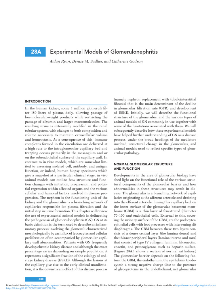 Experimental Models of Glomerulonephritis | PDF | Medical Specialties ...
