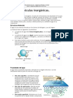 Biomoleculas Inorganicas