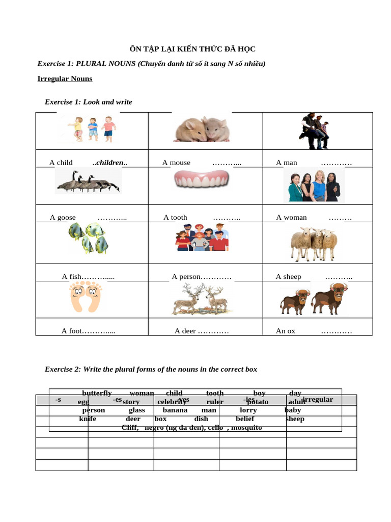 Grade 11 English Grammar Review | PDF | Linguistic Morphology ...