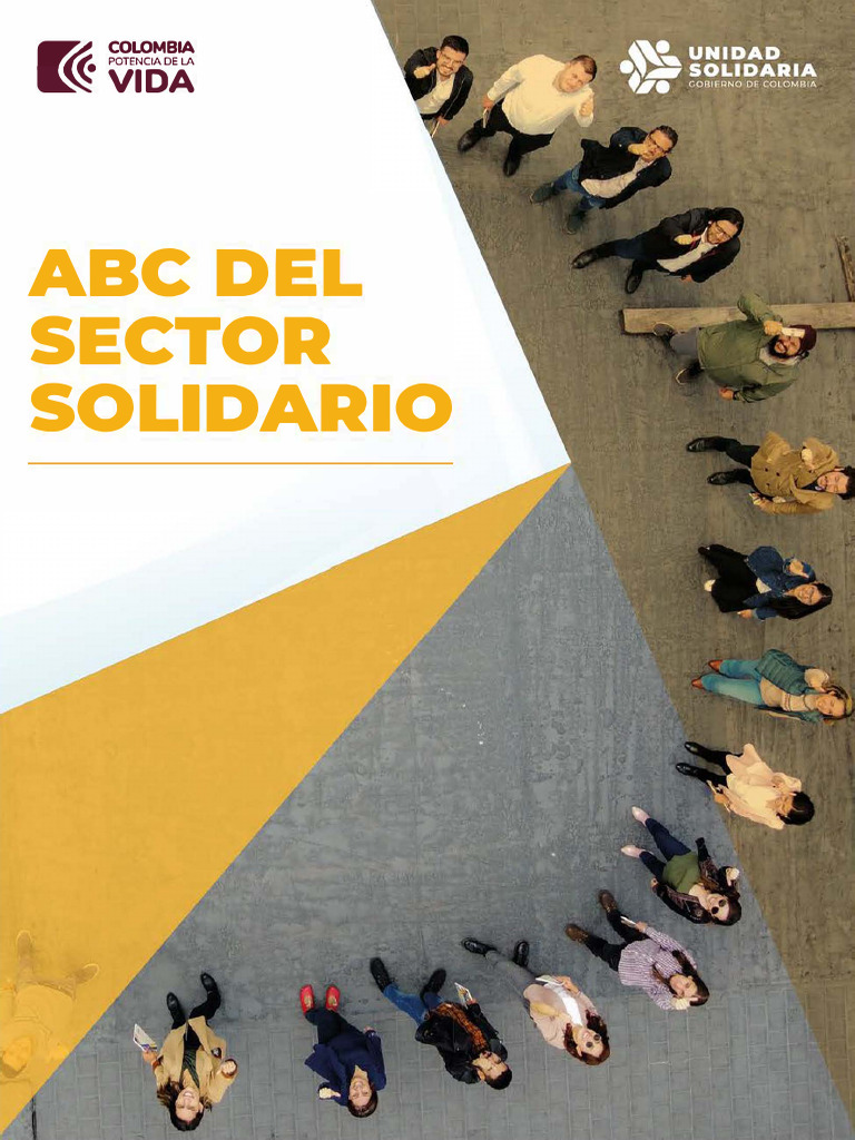 Conceptos Clave del Sector Solidario en Colombia | PDF | Comunidad ...