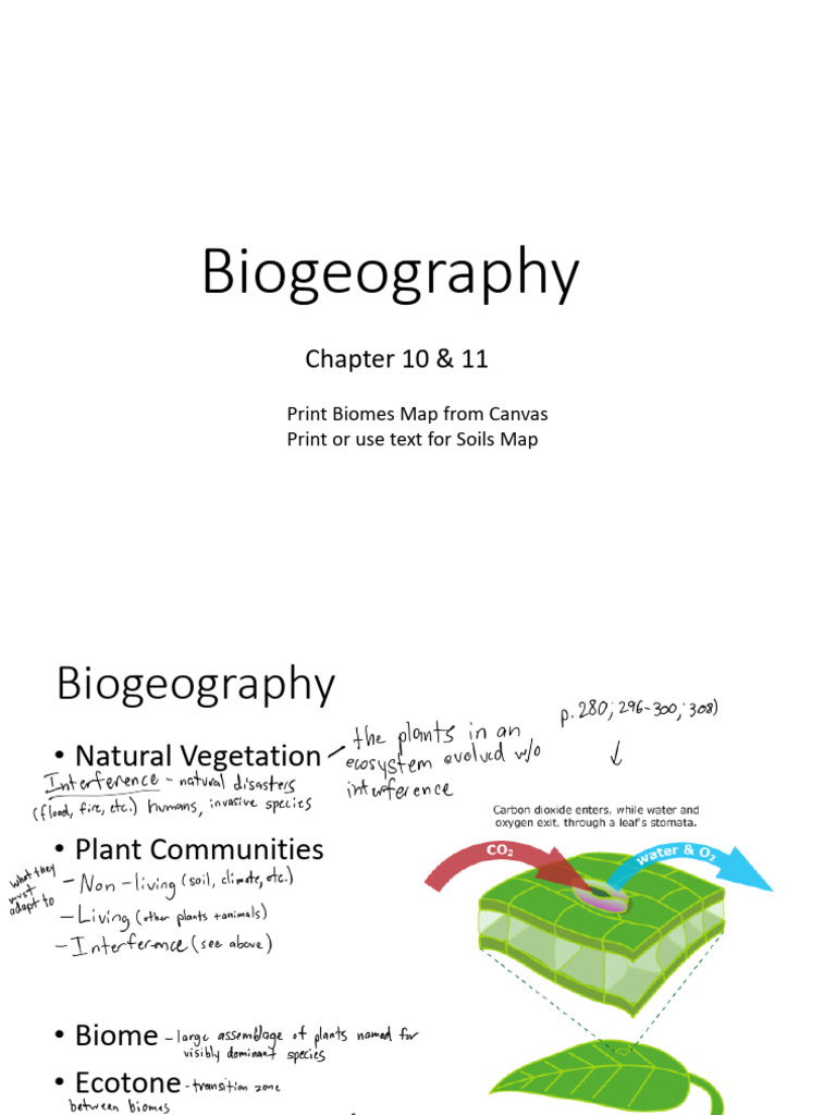 Major Global Biomes Overview | PDF