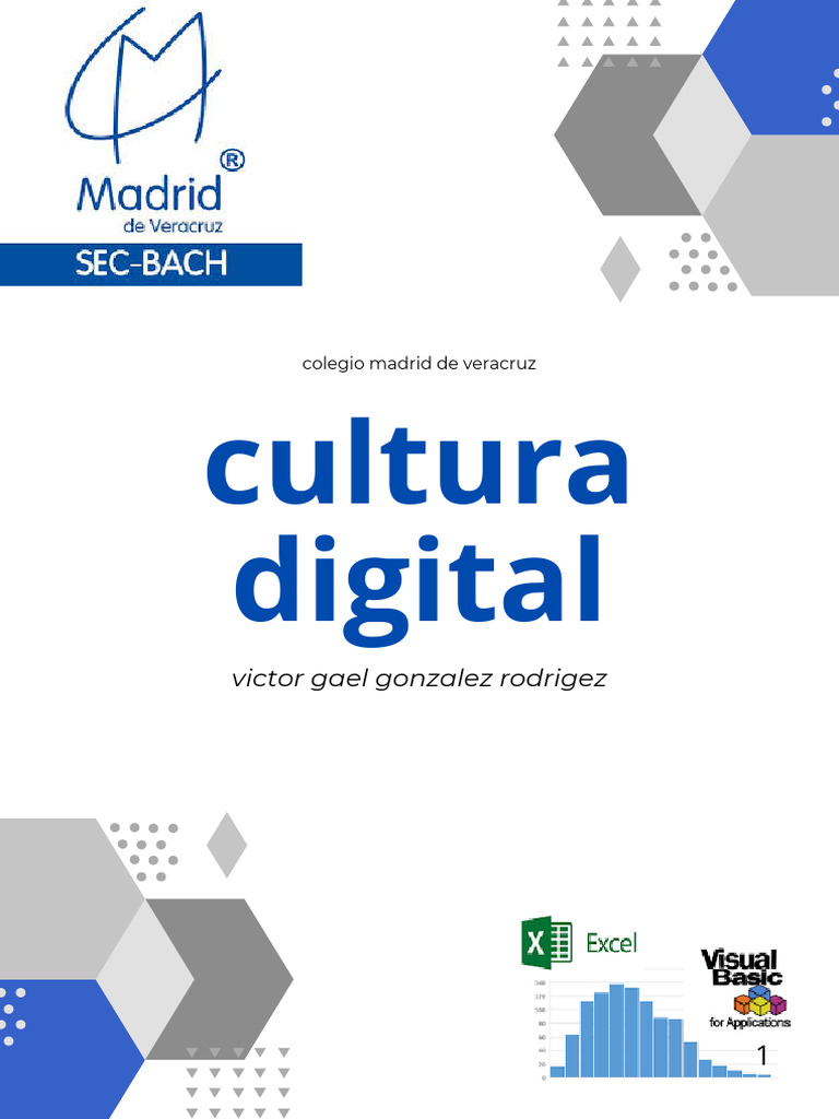 Introducción a Visual Basic en Excel | PDF | Microsoft Excel | Básico