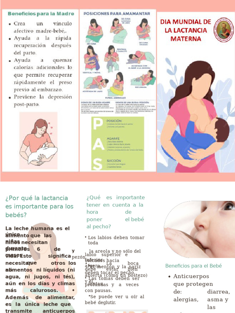 Triptico Lactancia Materna | PDF