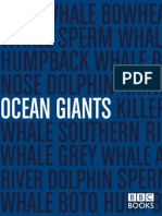 Ocean Giants: Whale Amazon River Dolphin