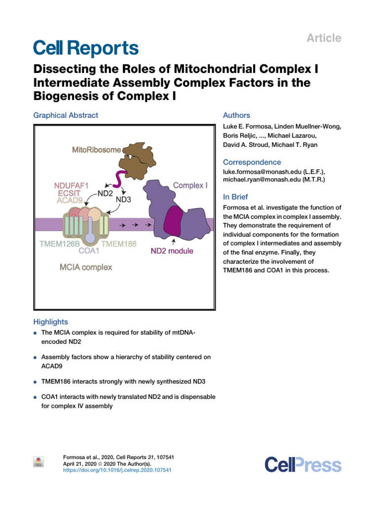 Mitochondrial Complex I Assembly Factors | PDF | Mitochondrion ...