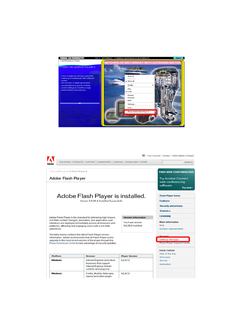 Flash Player Settings Guide | PDF