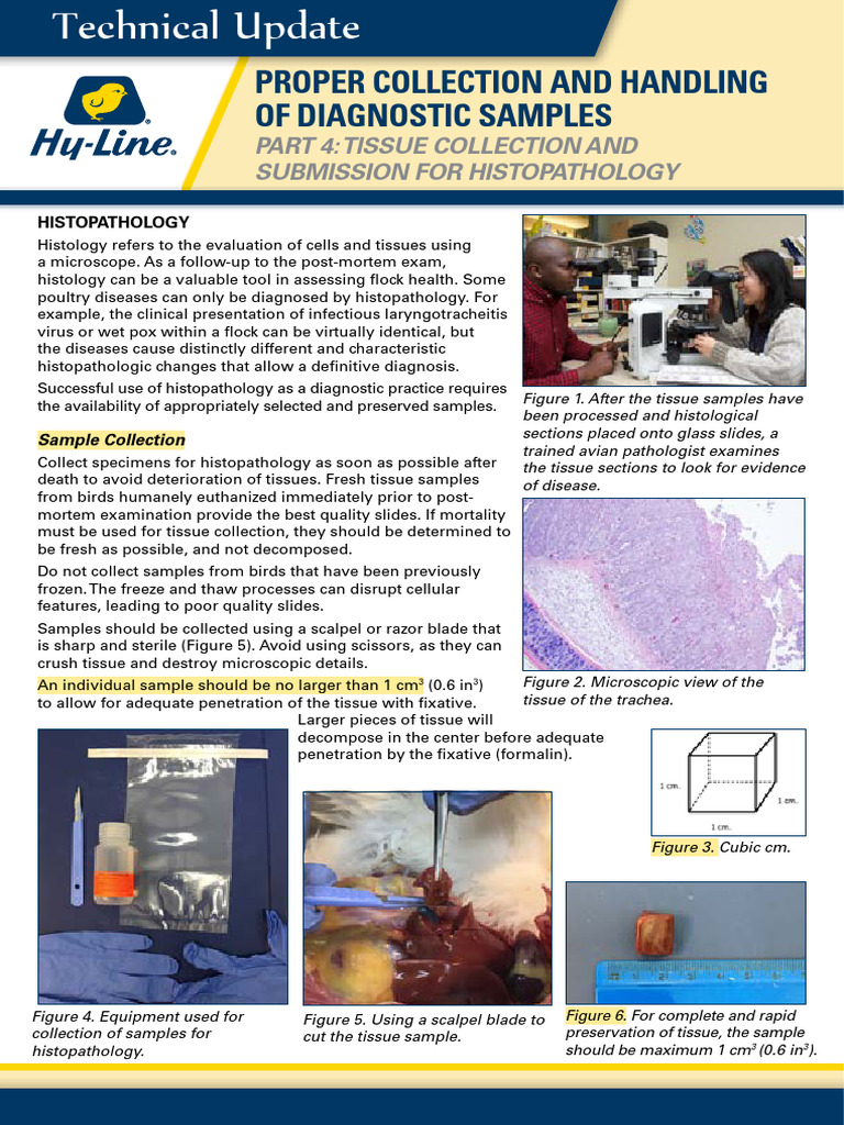 Tissue Collection for Histopathology | PDF | Histopathology | Histology