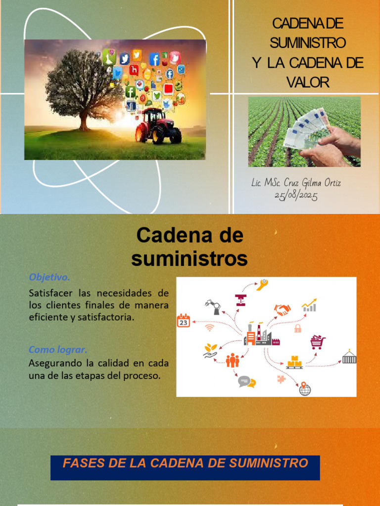Optimización de la Cadena de Suministro | PDF | Cadena de valor | Business