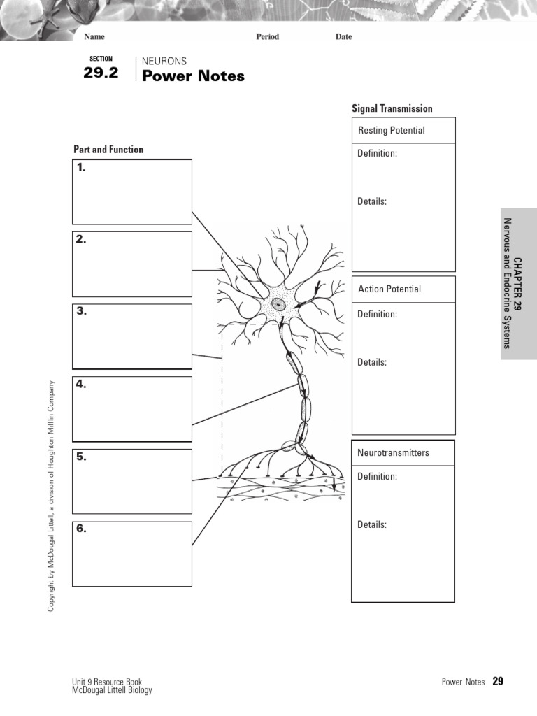 Powernotes For Biology | PDF