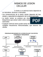 Mecanismos de Lesion Celular