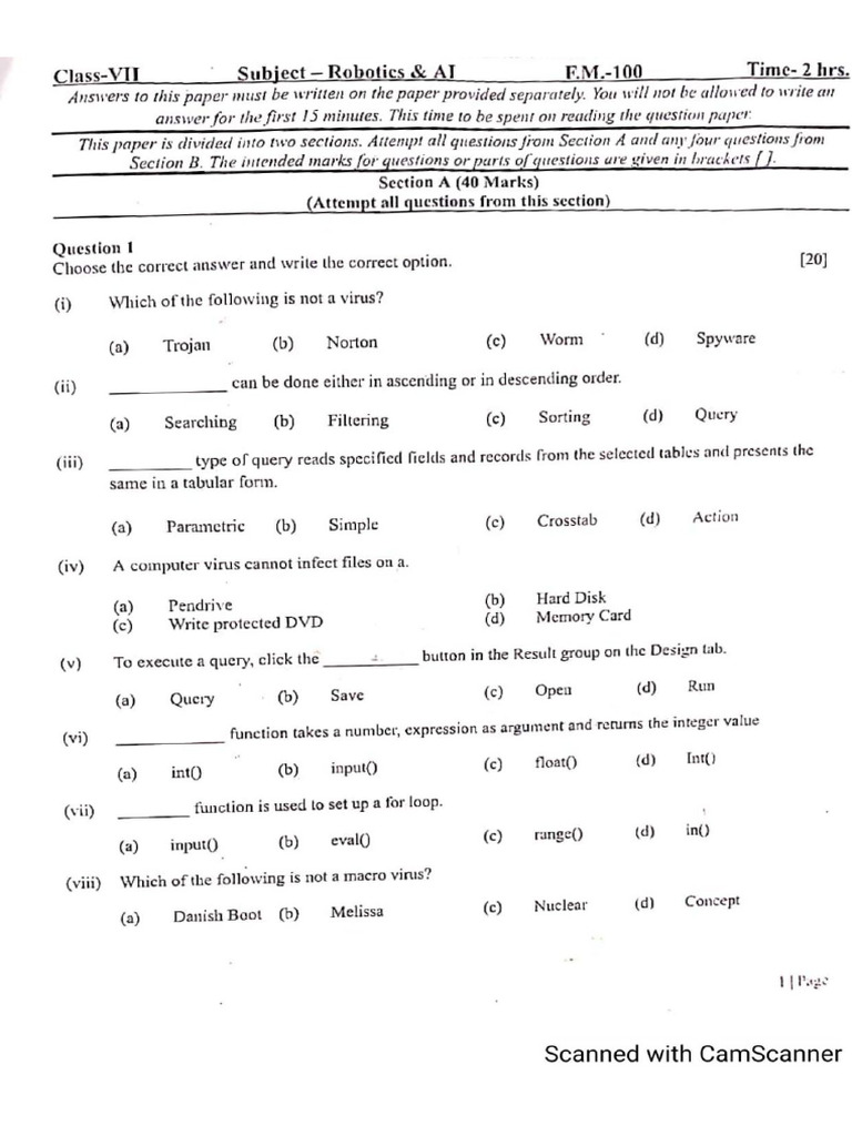Class Vi 15 Nov 2024 | PDF