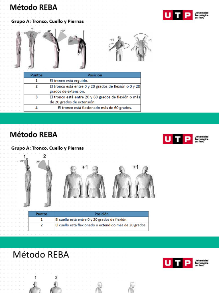 Análisis del Método REBA en Grupos Musculares | PDF